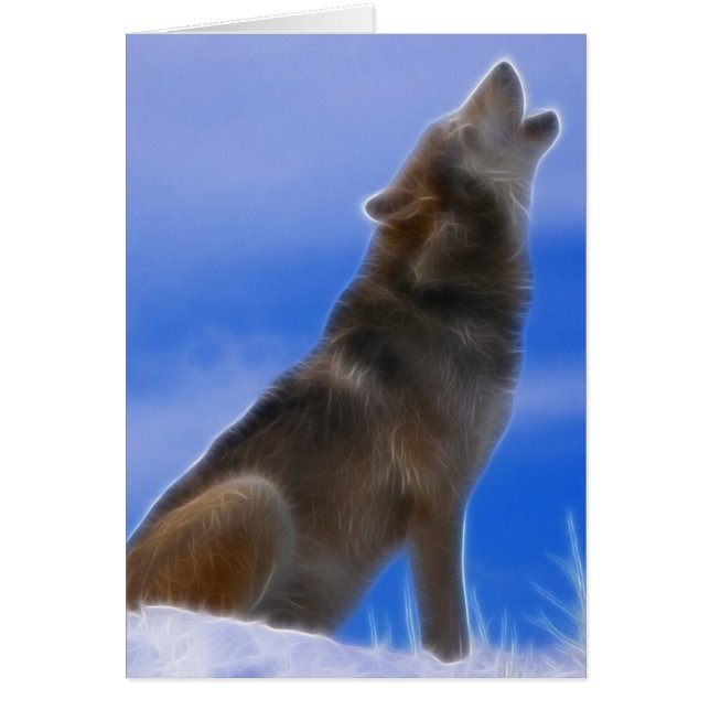 Lonely Howling Endangered Gray Wolf (Voorkant)