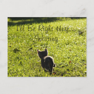 Lonely Kitten "Missing You" Briefkaart