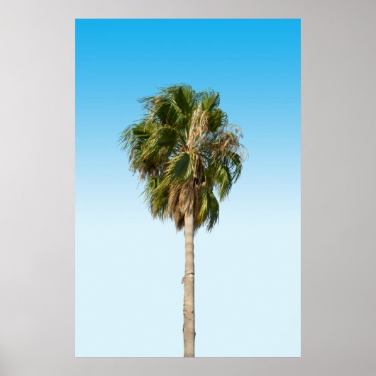 Lonely palm tree poster (Voorkant)
