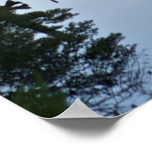 Lonely River Dock Poster (Hoek)