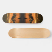 Lonely Tree Sunbeams Skateboard (Horz)