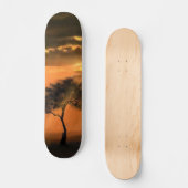 Lonely Tree Sunbeams Skateboard - Sunrise (Recto)
