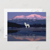 Lonely Wolf Briefkaart (Voorkant / Achterkant)