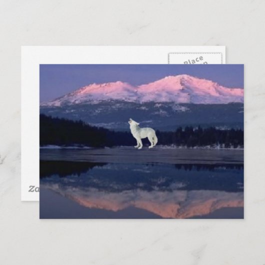 Lonely Wolf Briefkaart (Voorkant / Achterkant)