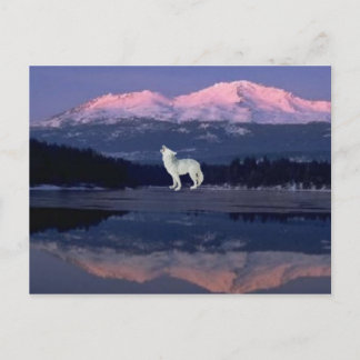 Lonely Wolf Briefkaart