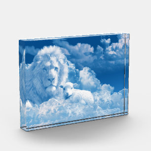 Lonen en lammeren in wolken fotoblokken