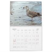 Long Beach Island Kalender (Mar 2027)