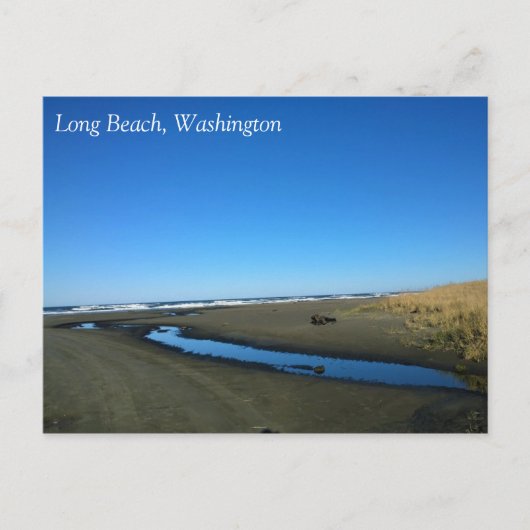 Long Beach, Washington Briefkaart (Voorkant)