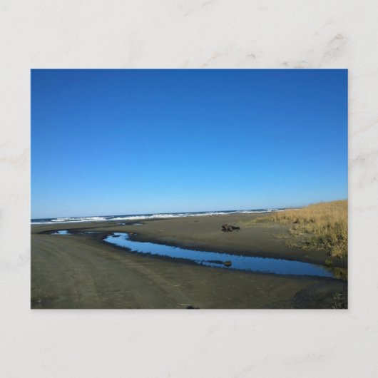 Long Beach, Washington Briefkaart (Voorkant)