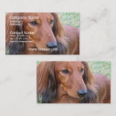 Long carte de visite de teckel de cheveux (Devant / Derrière)