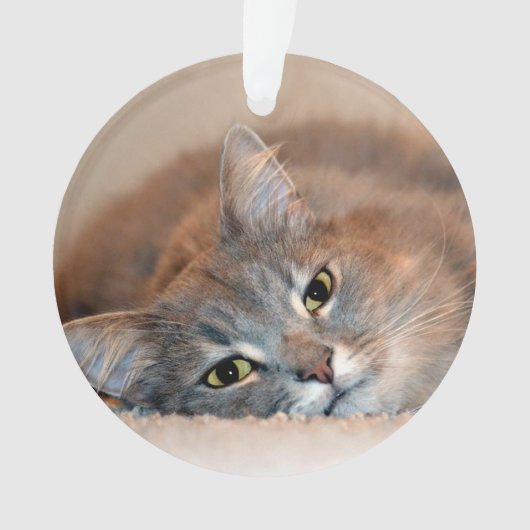 Long chapeau bleu russe par Shirley Taylor (devant)