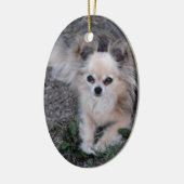 Long Coat Chihuahua Keramisch Ornament (Links)