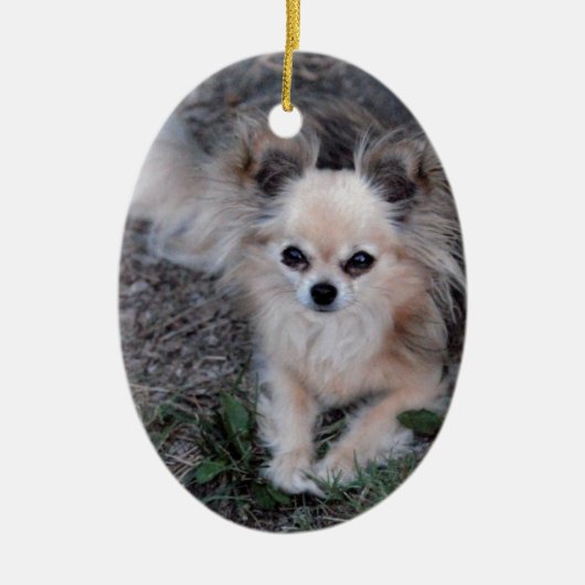 Long Coat Chihuahua Keramisch Ornament (Voorkant)
