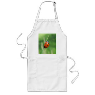 Long Coccinelle sur une brin d'herbe Tablier