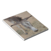 Long Eared Donkey Notitieblok (Schuin)