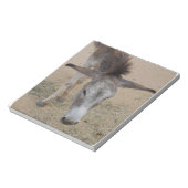 Long Eared Donkey Notitieblok (Gedraaid)