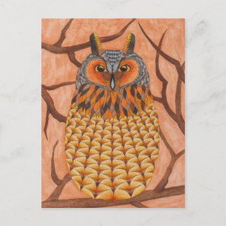Long Eared Owl - Waldohreule Briefkaart