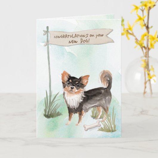 Long Haered Chihuahua Gefeliciteerd met New Dog Kaart (Gele Bloem)