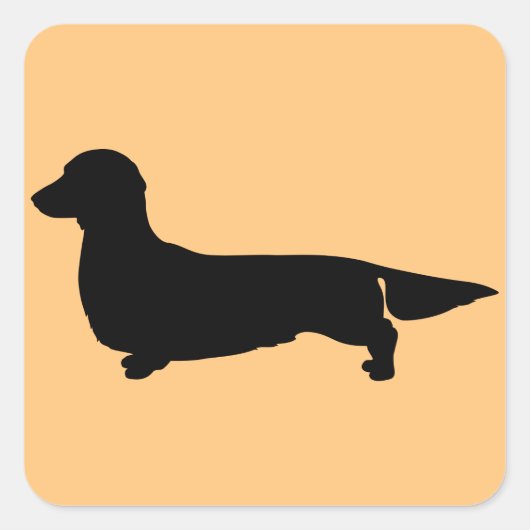 Long Hair Dachshund Square Sticker (Voorkant)