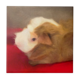 Long Hair Guinea Pig Tegeltje