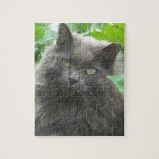 Long Haire Grey Blue Cat Legpuzzel (Verticaal)