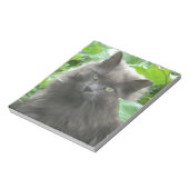Long Haire Grey Blue Cat Notitieblok (Gedraaid)