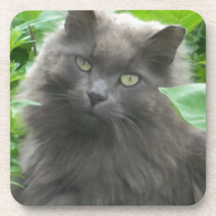 Long Haire Grey Blue Cat Onderzetter