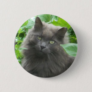 Long Haire Grey Blue Cat Ronde Button 5,7 Cm