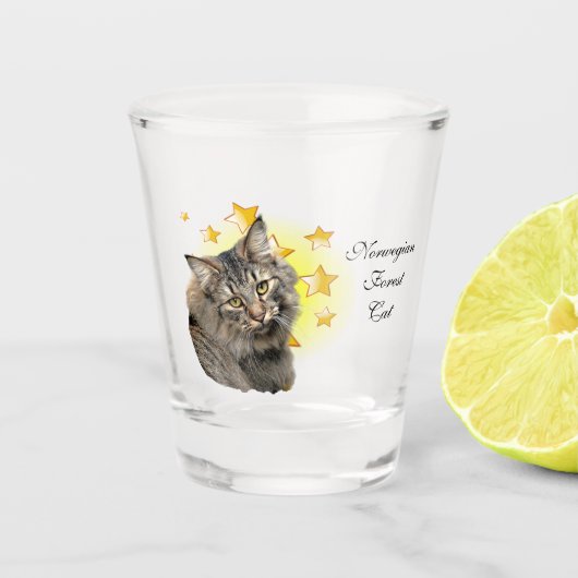 Long Haire Norwegian Forest Cat is een ster Shot Glas (Voorkant)