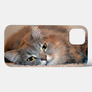 Long Haire Russian Blue Cat van Shirley Taylor iPhone 13 Hoesje