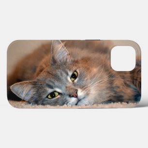 Long Haire Russian Blue Cat van Shirley Taylor iPhone 13 Hoesje