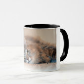 Long Haire Russian Blue Cat van Shirley Taylor Mok (Voorkant rechts)