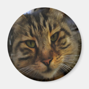 Long Haire Tabby Cat Artistic Pet Portrait v2 Magneet