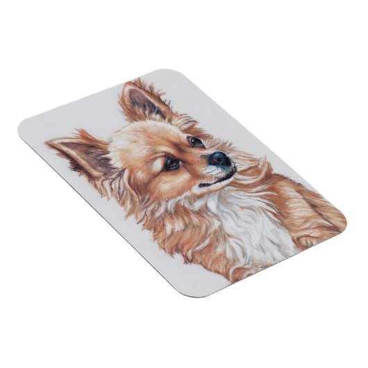 Long Haired Chihuahua Chig Magnet d'art (Côté Droit)