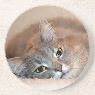 Long Hazard Blue Russian Cat door Shirley Taylor Zandsteen Onderzetter