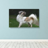 Long Hazard Chihuahua die camera's bekijken Canvas Afdruk (Insitu (Houten vloer))