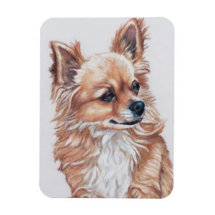 Long Hazard Chihuahua Dog Art Magnet Magneet