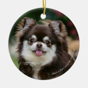 Long Hazard Chihuahua Headshot 1 Keramisch Ornament