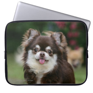 Long Hazard Chihuahua Headshot 1 Laptop Sleeve