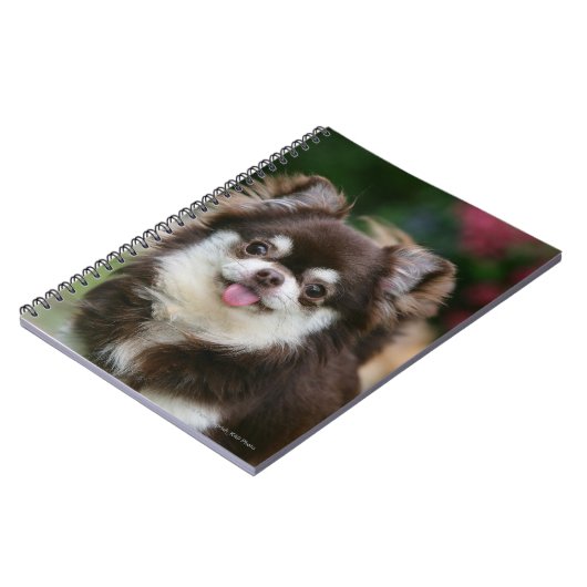 Long Hazard Chihuahua Headshot 1 Notitieboek (Linkerzijde)