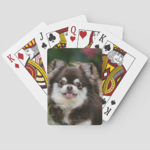 Long Hazard Chihuahua Headshot 1 Speelkaarten