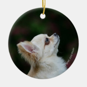 Long Hazard Chihuahua Headshot 2 Keramisch Ornament