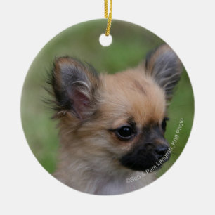 Long Hazard Chihuahua Puppy die camera bekijkt Keramisch Ornament