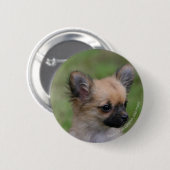 Long Hazard Chihuahua Puppy die camera bekijkt Ronde Button 5,7 Cm (Voorkant /achterkant)