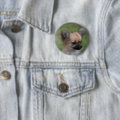 Long Hazard Chihuahua Puppy die camera bekijkt Ronde Button 5,7 Cm (In situ)