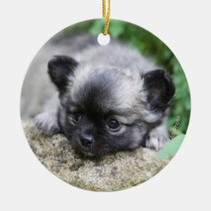 Long Hazard Chihuahua Puppy Keramisch Ornament