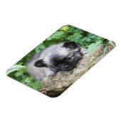 Long Hazard Chihuahua Puppy Magneet (Linkerzijde)