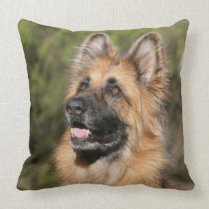 Long Hazard German Shepherd 1 Kussen
