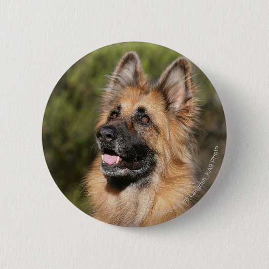 Long Hazard German Shepherd 1 Ronde Button 5,7 Cm (Voorkant)