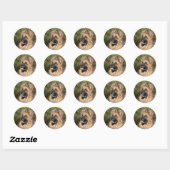 Long Hazard German Shepherd 1 Ronde Sticker (Vel)